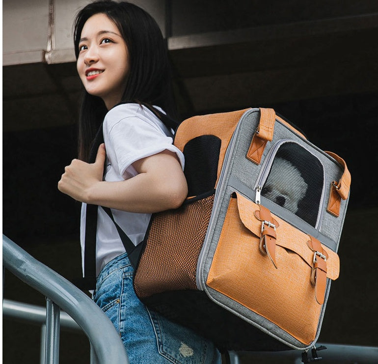 d6122e3f1d87dfdd0c78b866a0f4d800